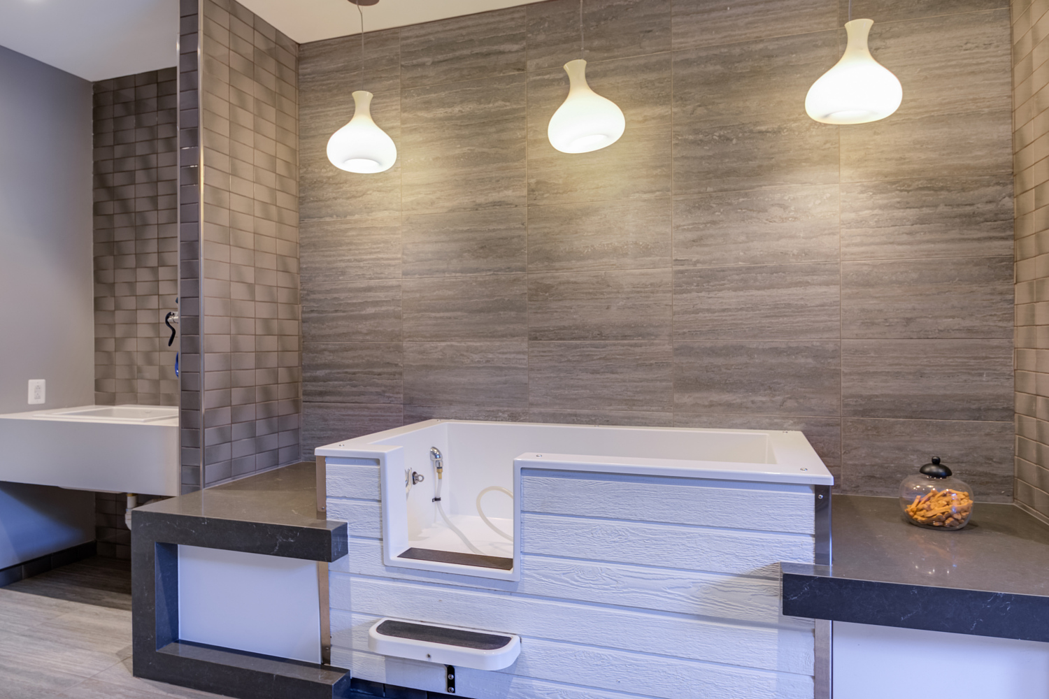 2819014_23IPC_Int_Amenities_PetSpa_102019.jpg